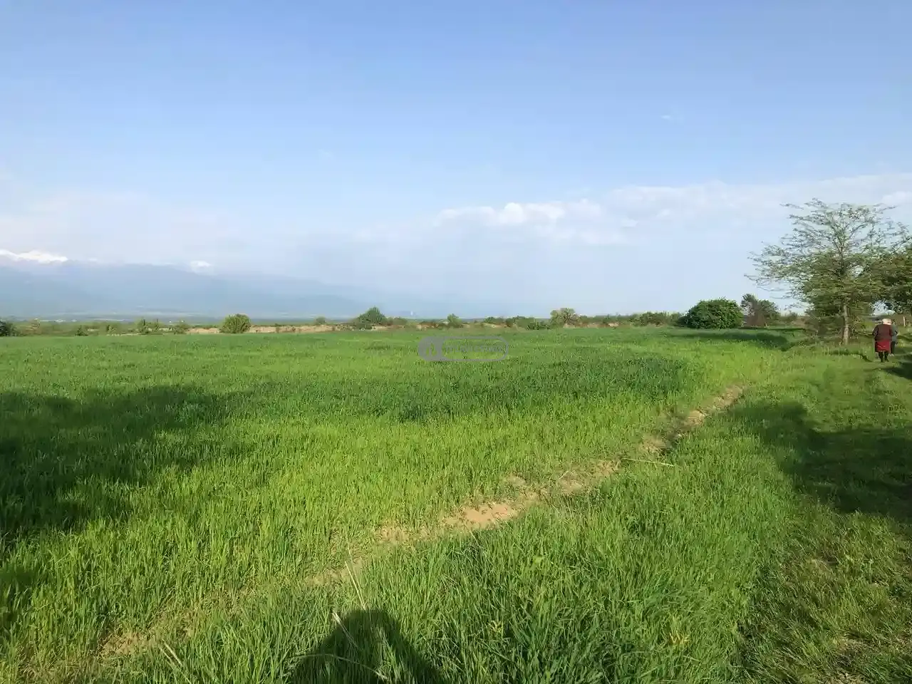 Продаётся земельный участок в Вардиcубани