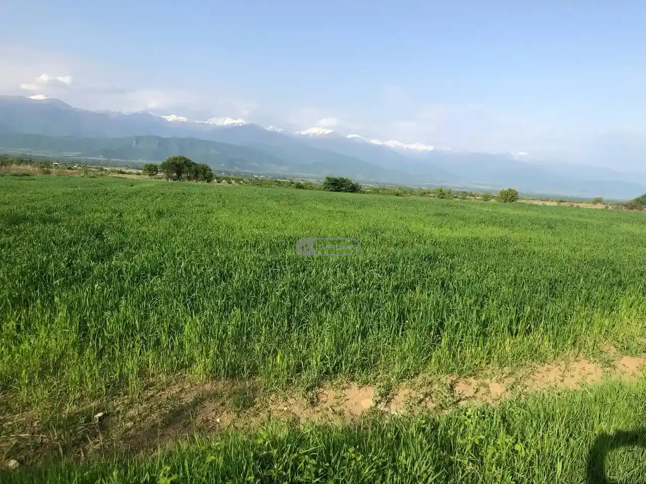 Продаётся земельный участок в Вардиcубани