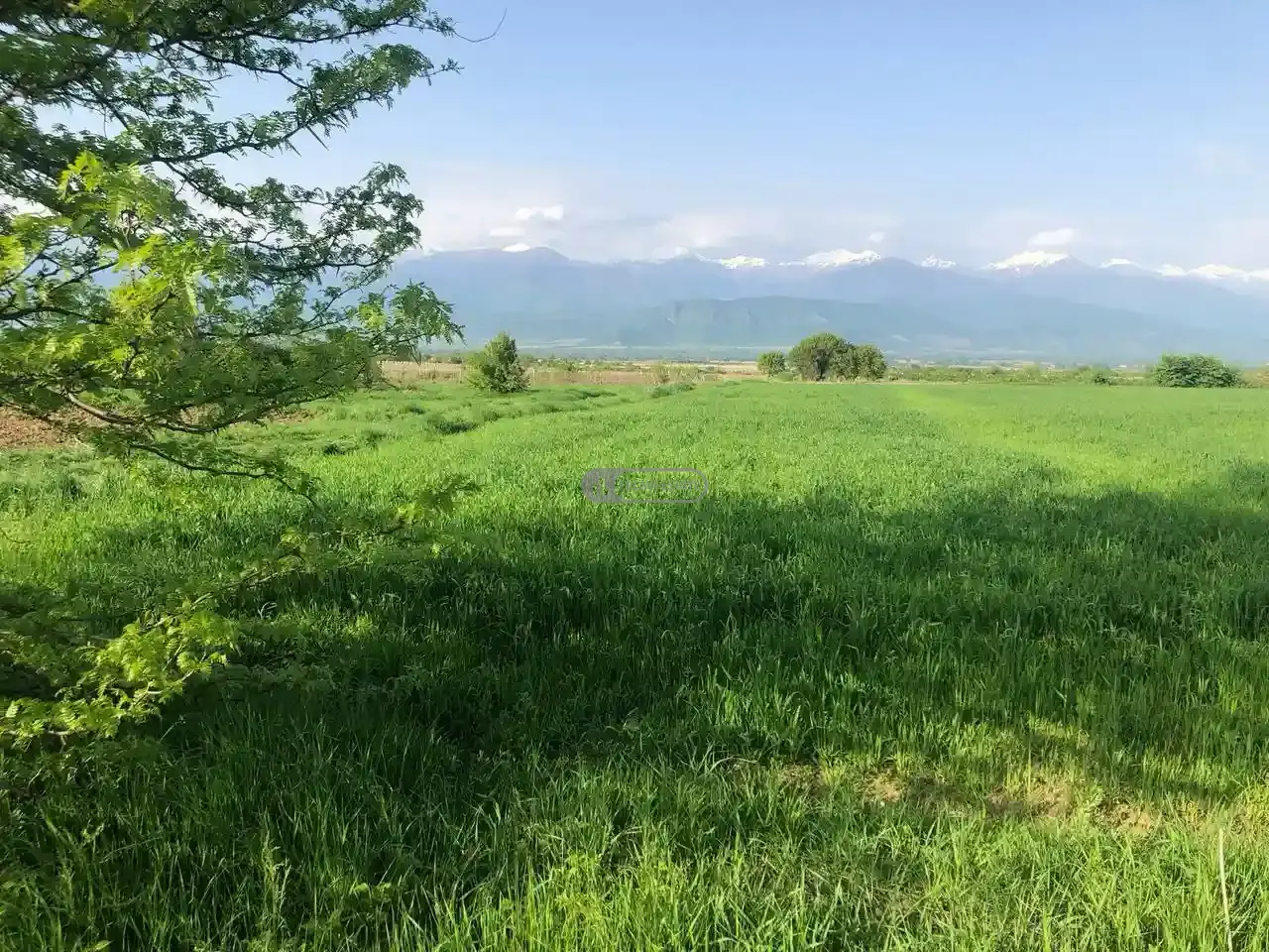 Продаётся земельный участок в Вардиcубани