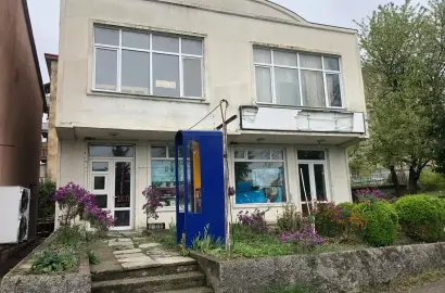 კომერციული ფართი თელავში