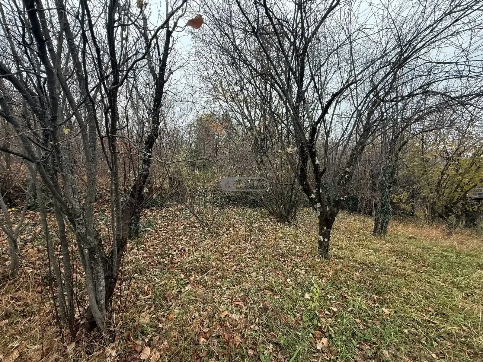 კაპიტალური კოტეჯი თელავში