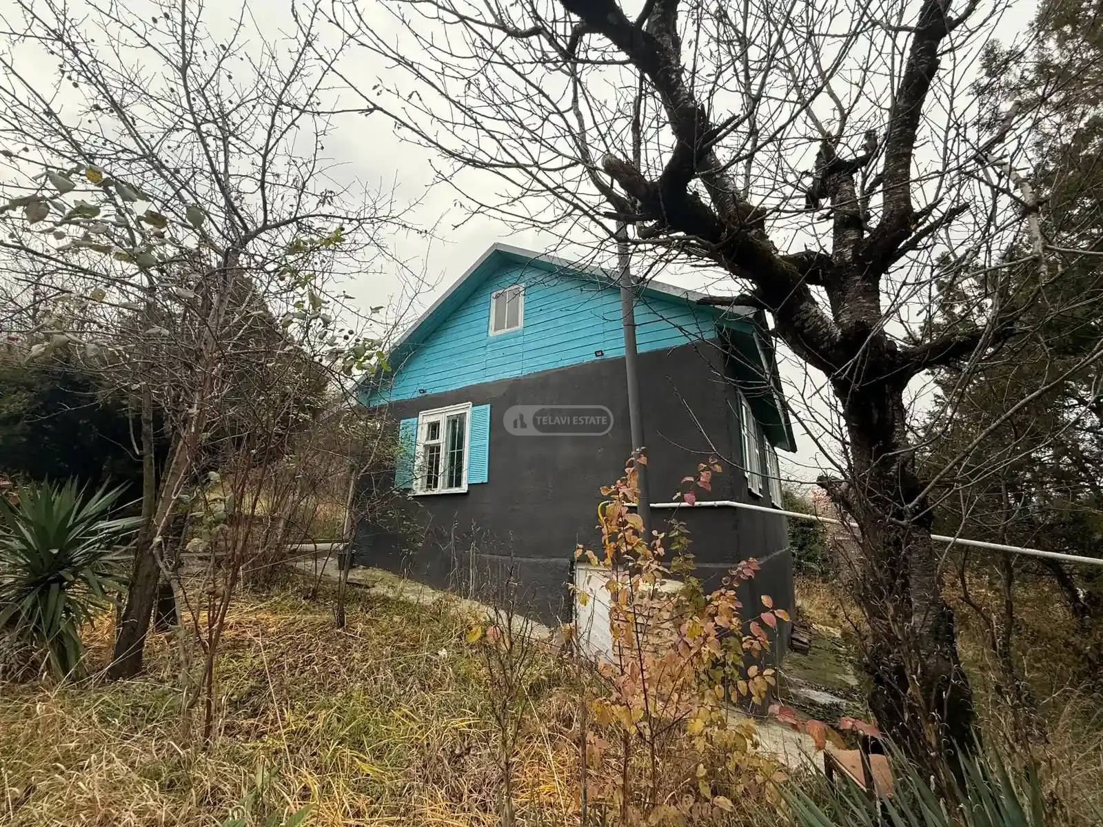 კაპიტალური კოტეჯი თელავში