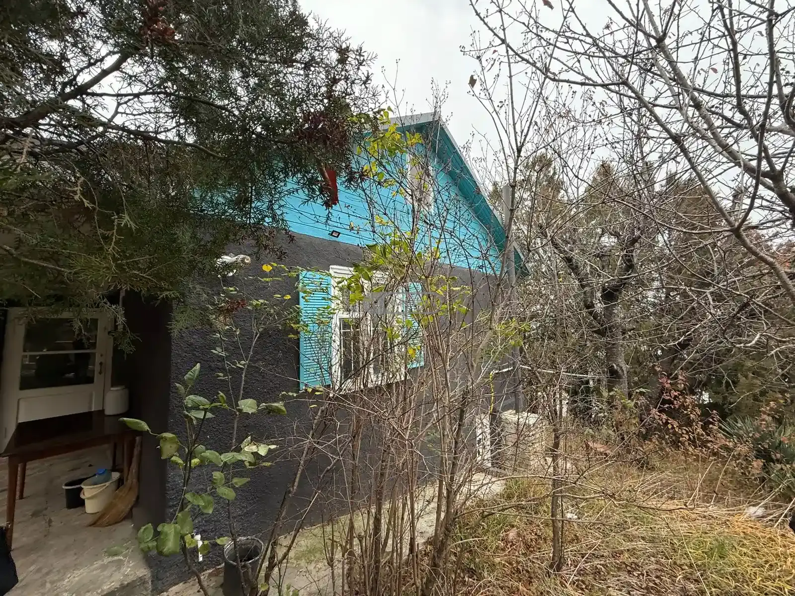 კაპიტალური კოტეჯი თელავში