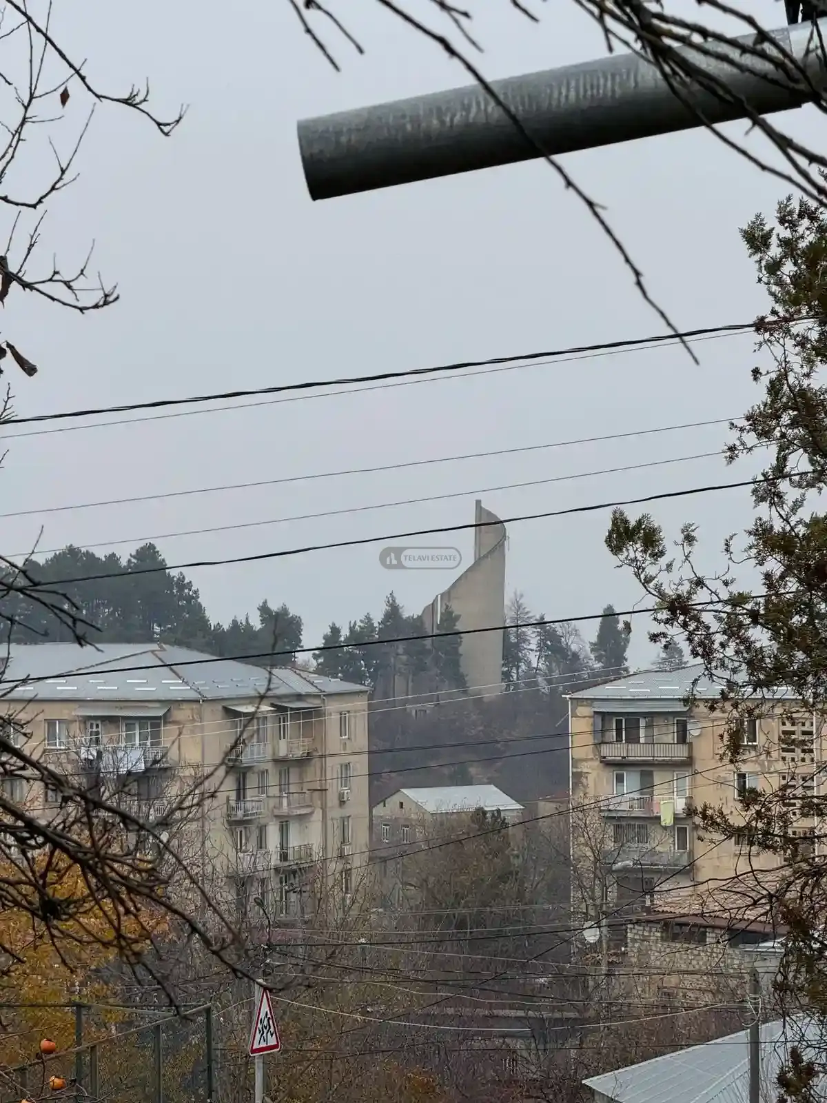 კაპიტალური კოტეჯი თელავში