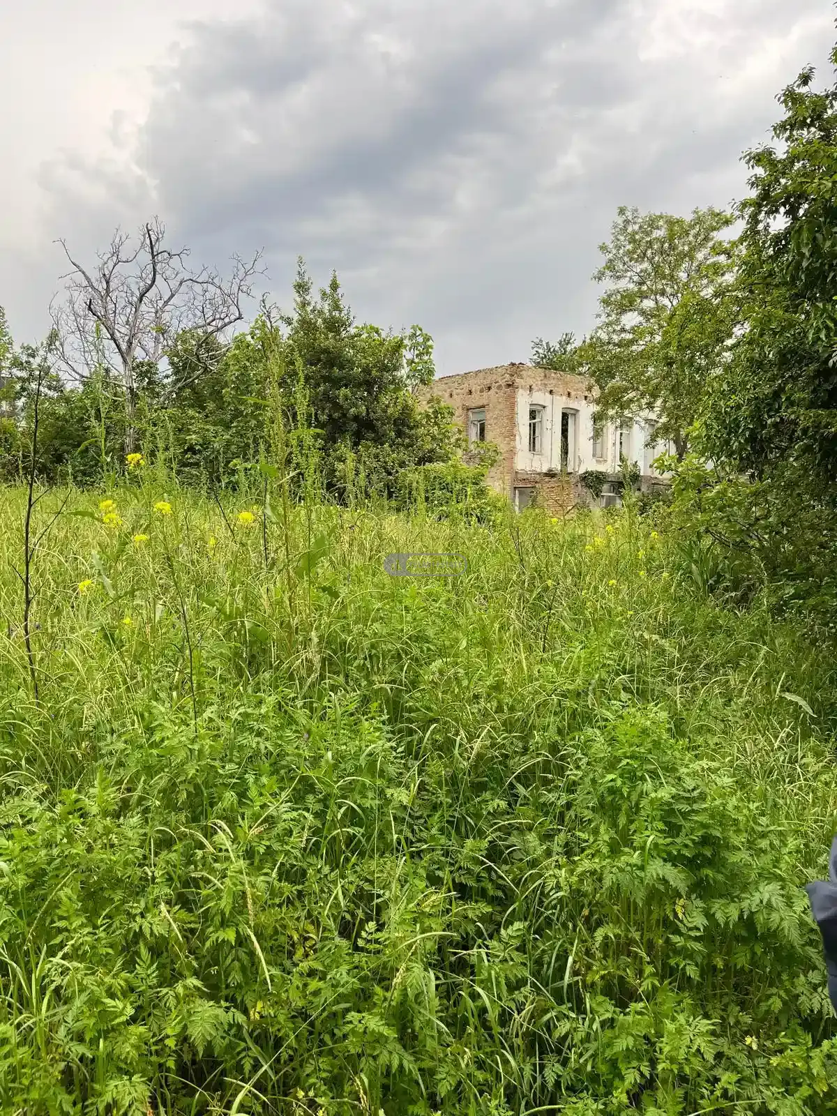 სამოსახლო მიწის ნაკვეთი კურდღელაურში