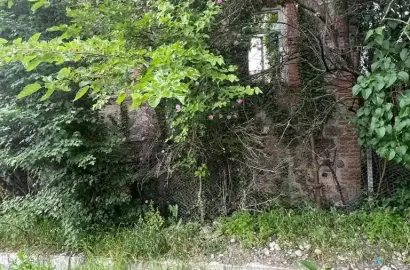 სამოსახლო მიწის ნაკვეთი კურდღელაურში