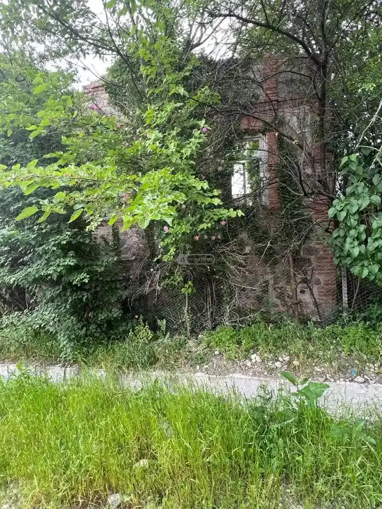 სამოსახლო მიწის ნაკვეთი კურდღელაურში