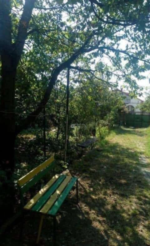 Elevated House in Telavi City Center