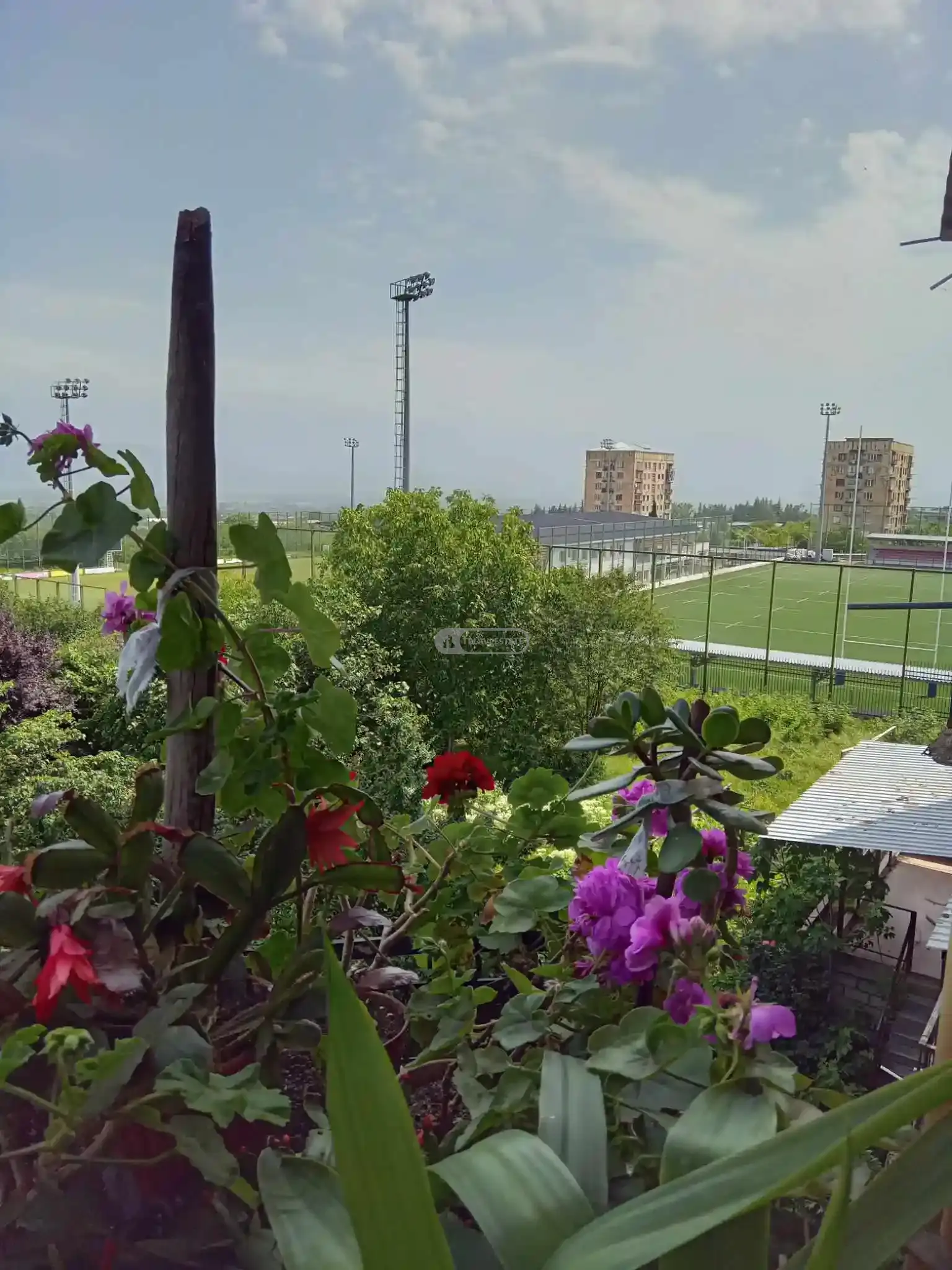 2 ოთახიანი ბინა თელავში