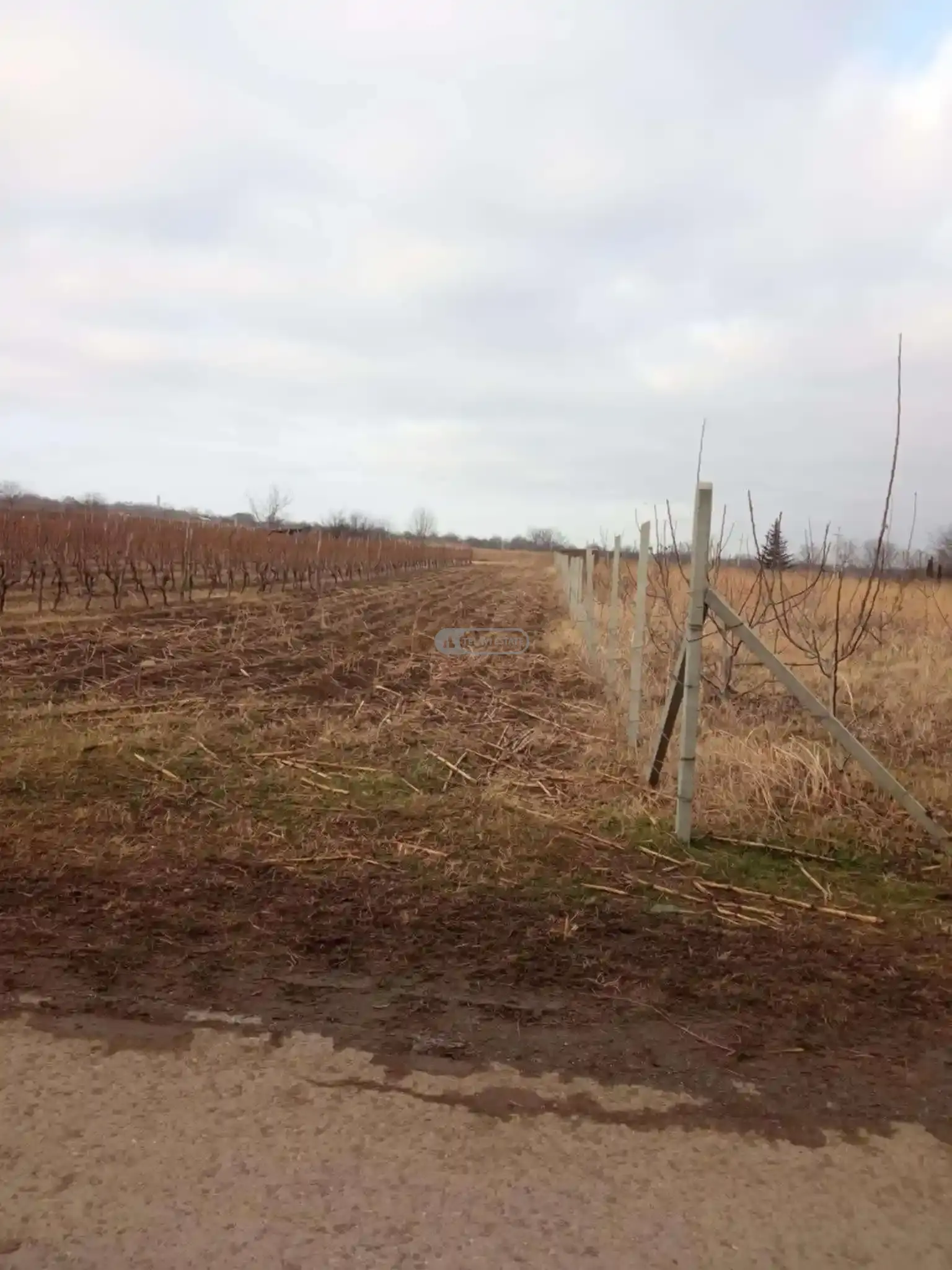 Земельный участок в селе Курдгелаури