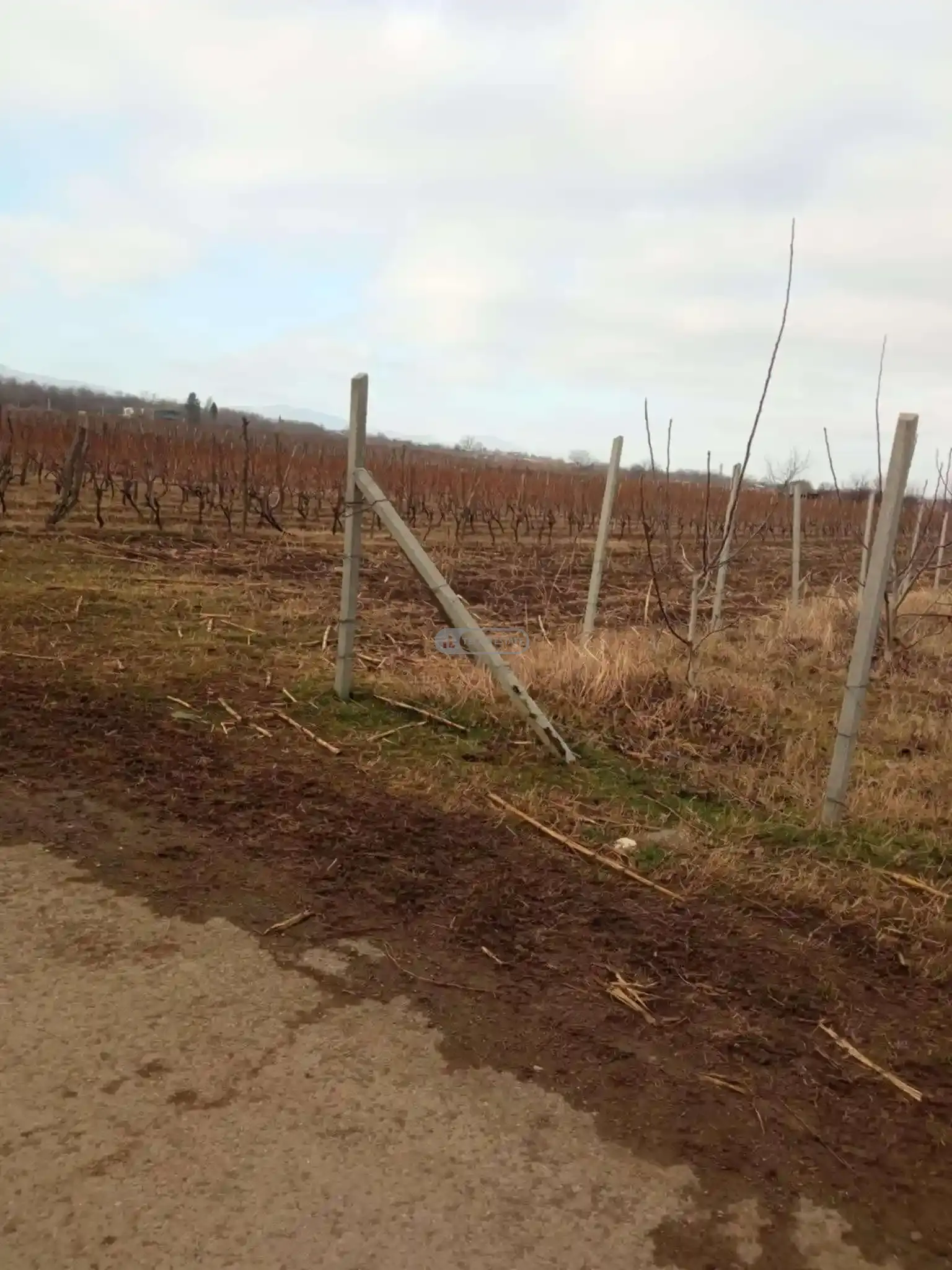 Земельный участок в селе Курдгелаури