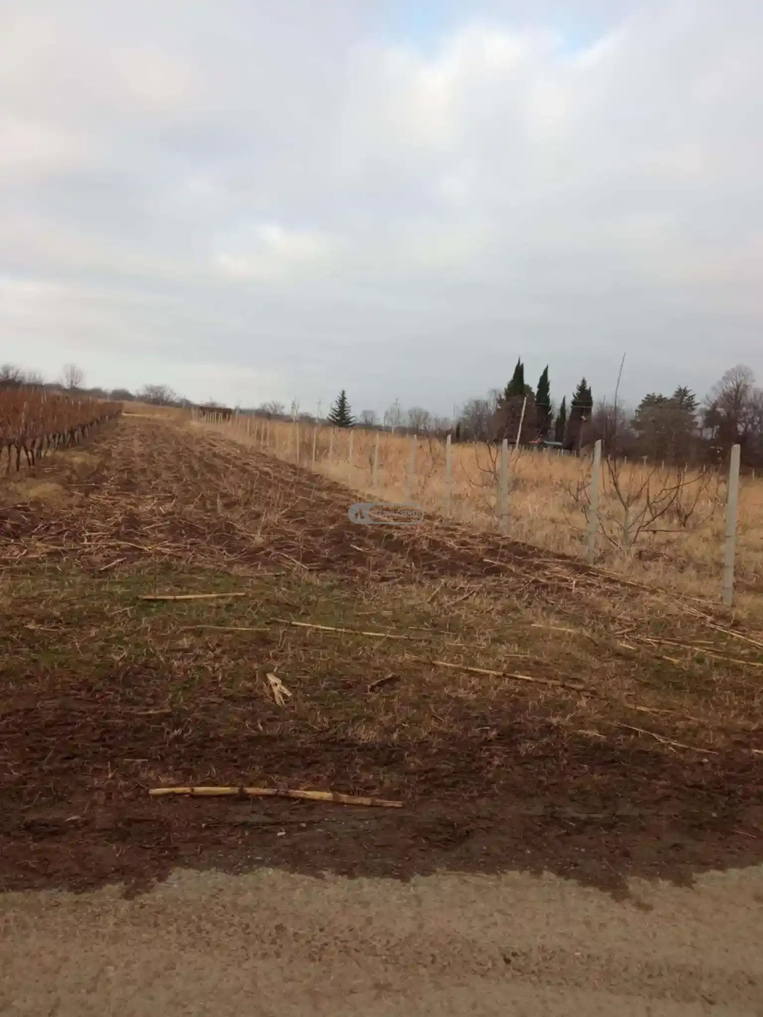 Земельный участок в селе Курдгелаури