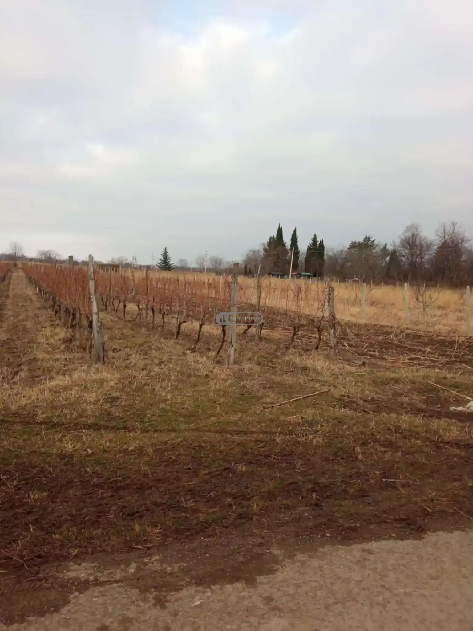 Земельный участок в селе Курдгелаури