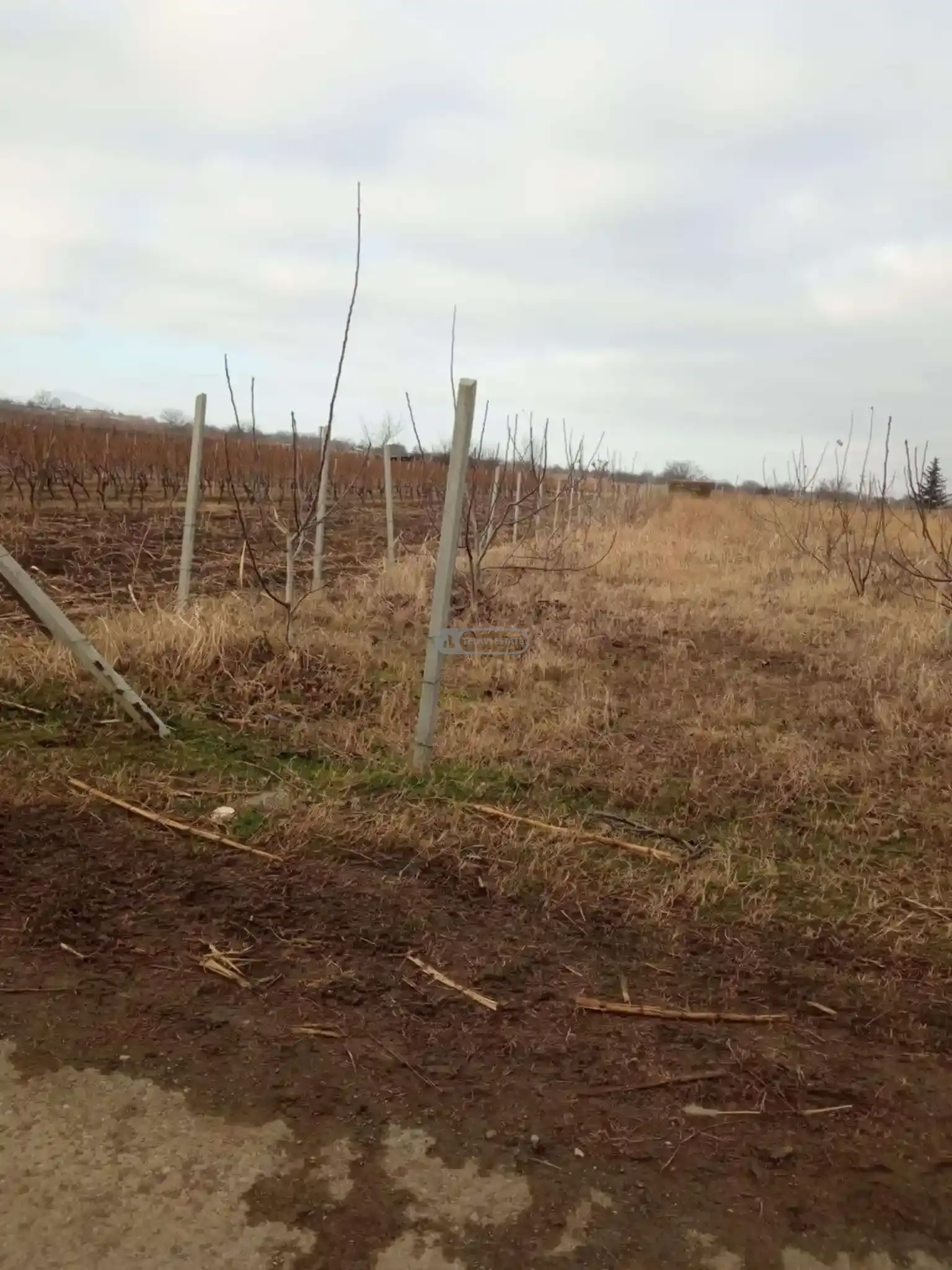 Земельный участок в селе Курдгелаури