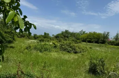 მიწის ნაკვეთი რუისპირში