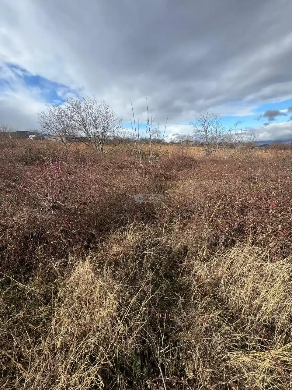Земельный участок в Вардиcубани