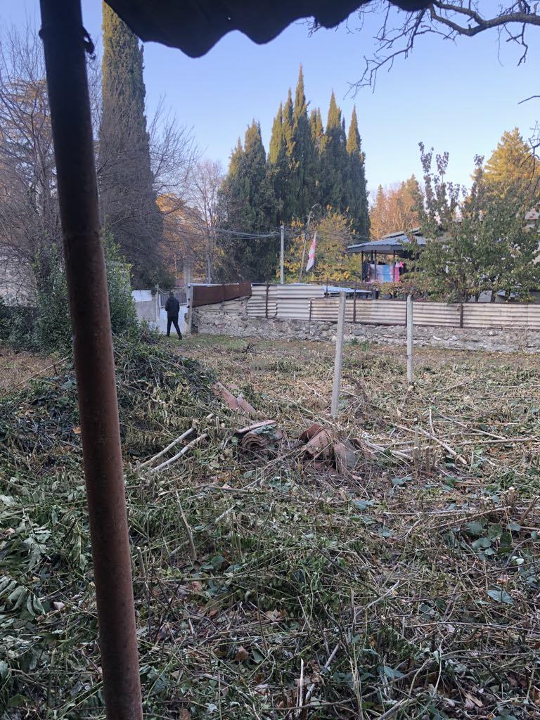 Земельный участок в Цинандали