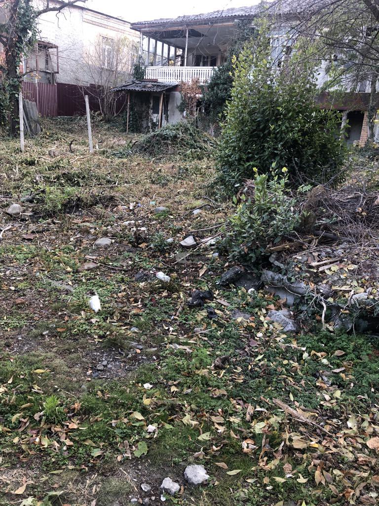 Земельный участок в Цинандали