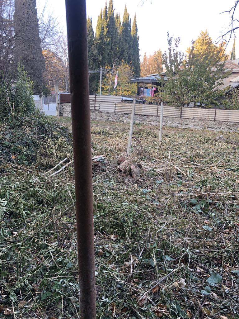 Земельный участок в Цинандали