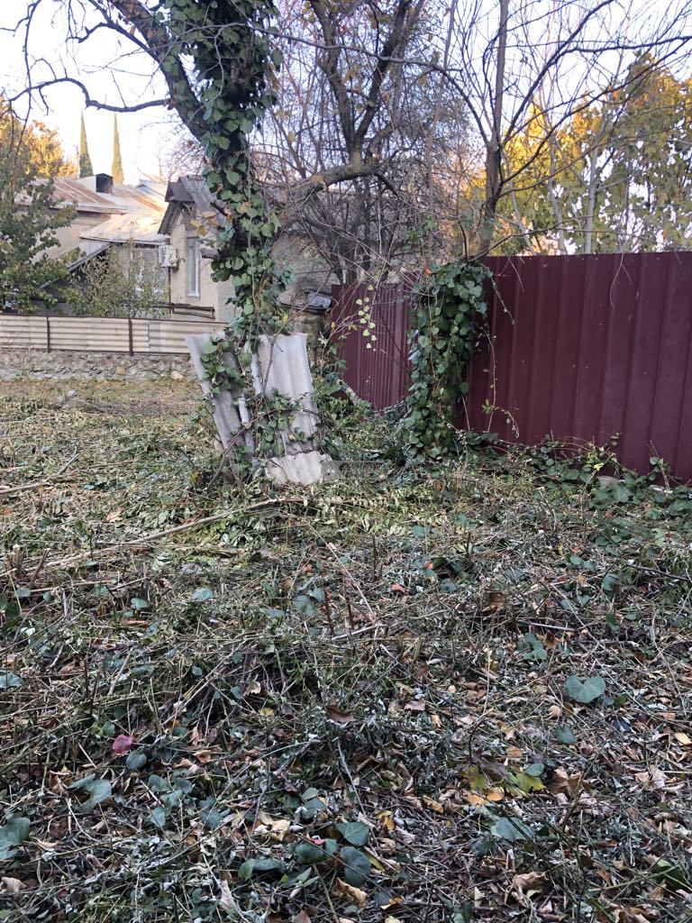 Земельный участок в Цинандали