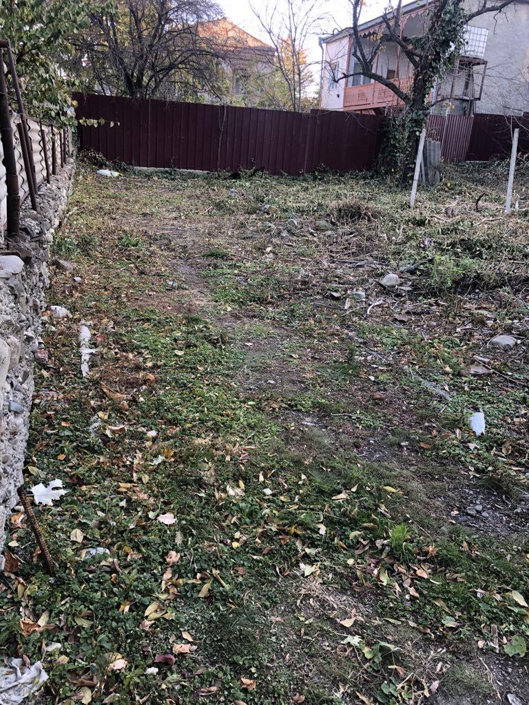 Земельный участок в Цинандали