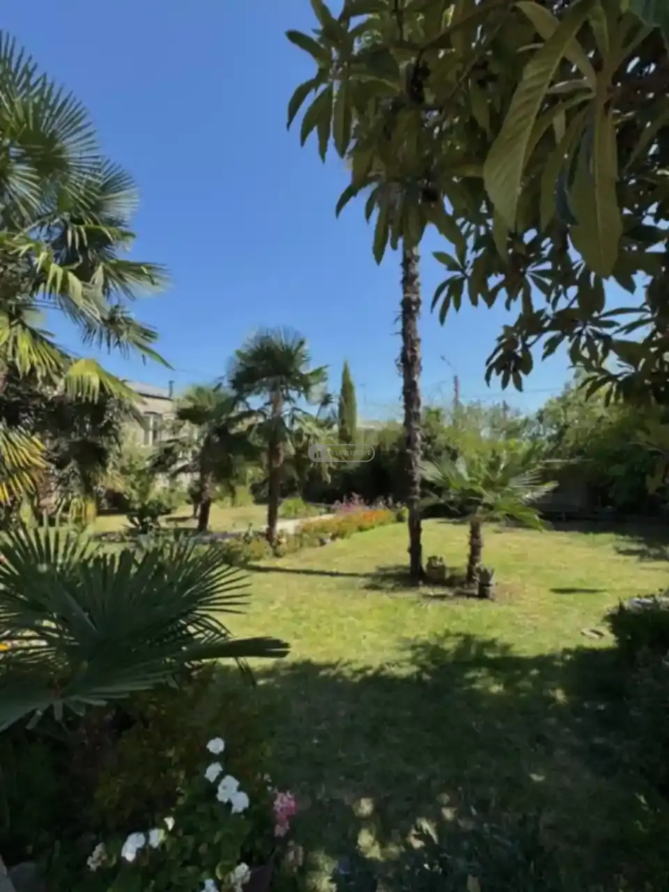 ქირავდება 1 ოთახიანი სტუდიო წინანდალში