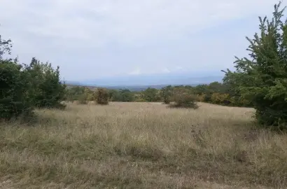 Land for Sale in Ikalto