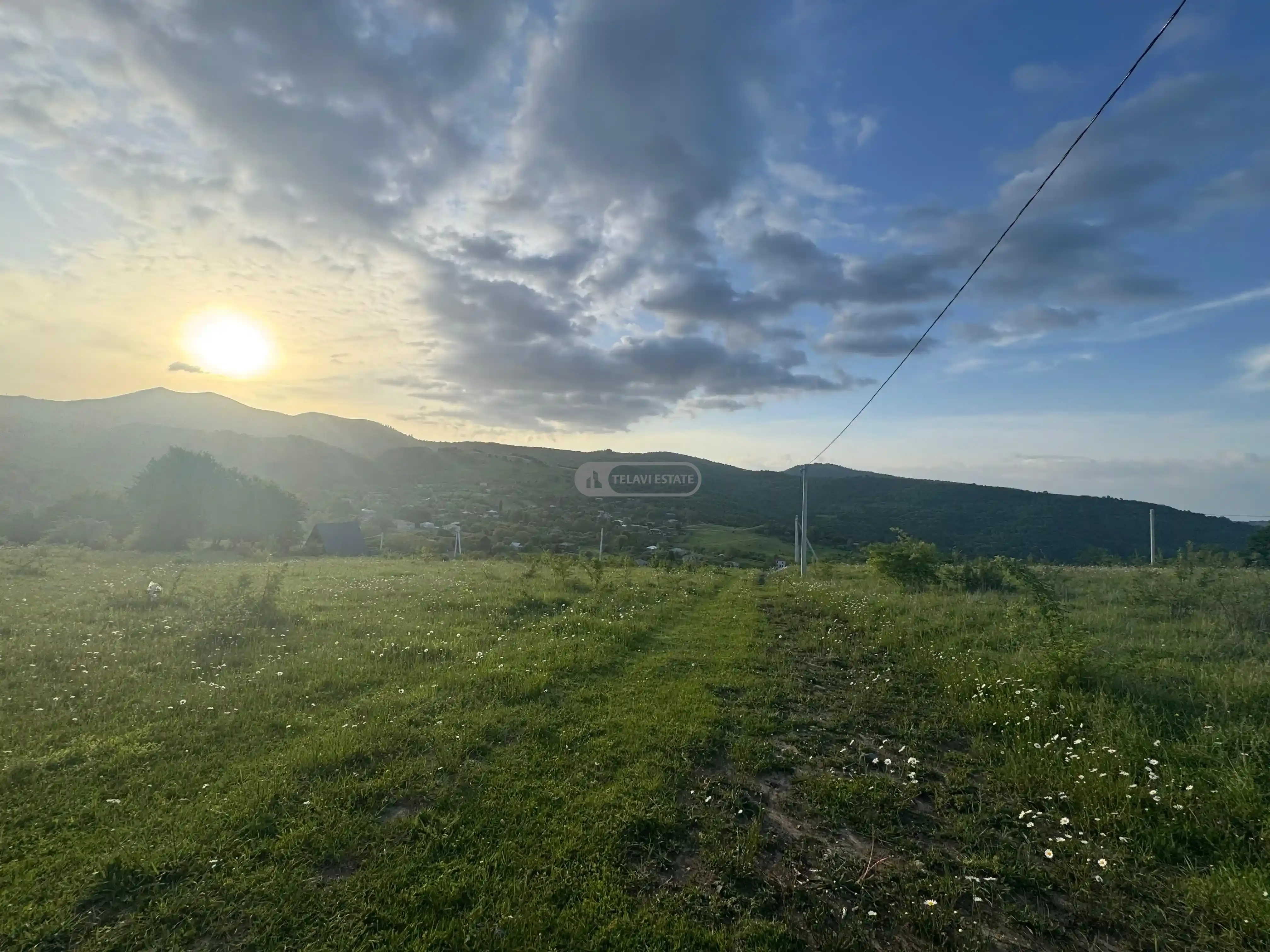 მიწის ნაკვეთი თეთრიწყლებში