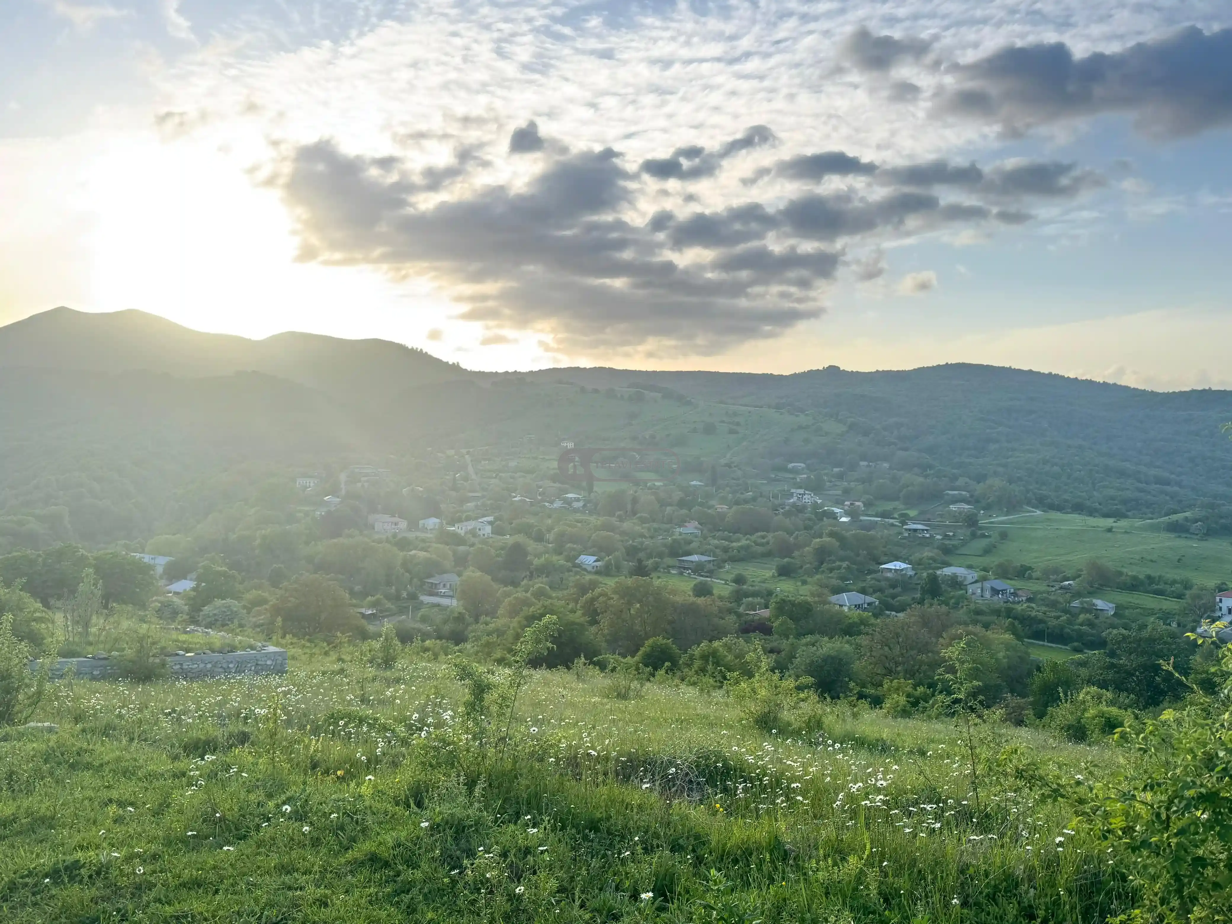 მიწის ნაკვეთი თეთრიწყლებში