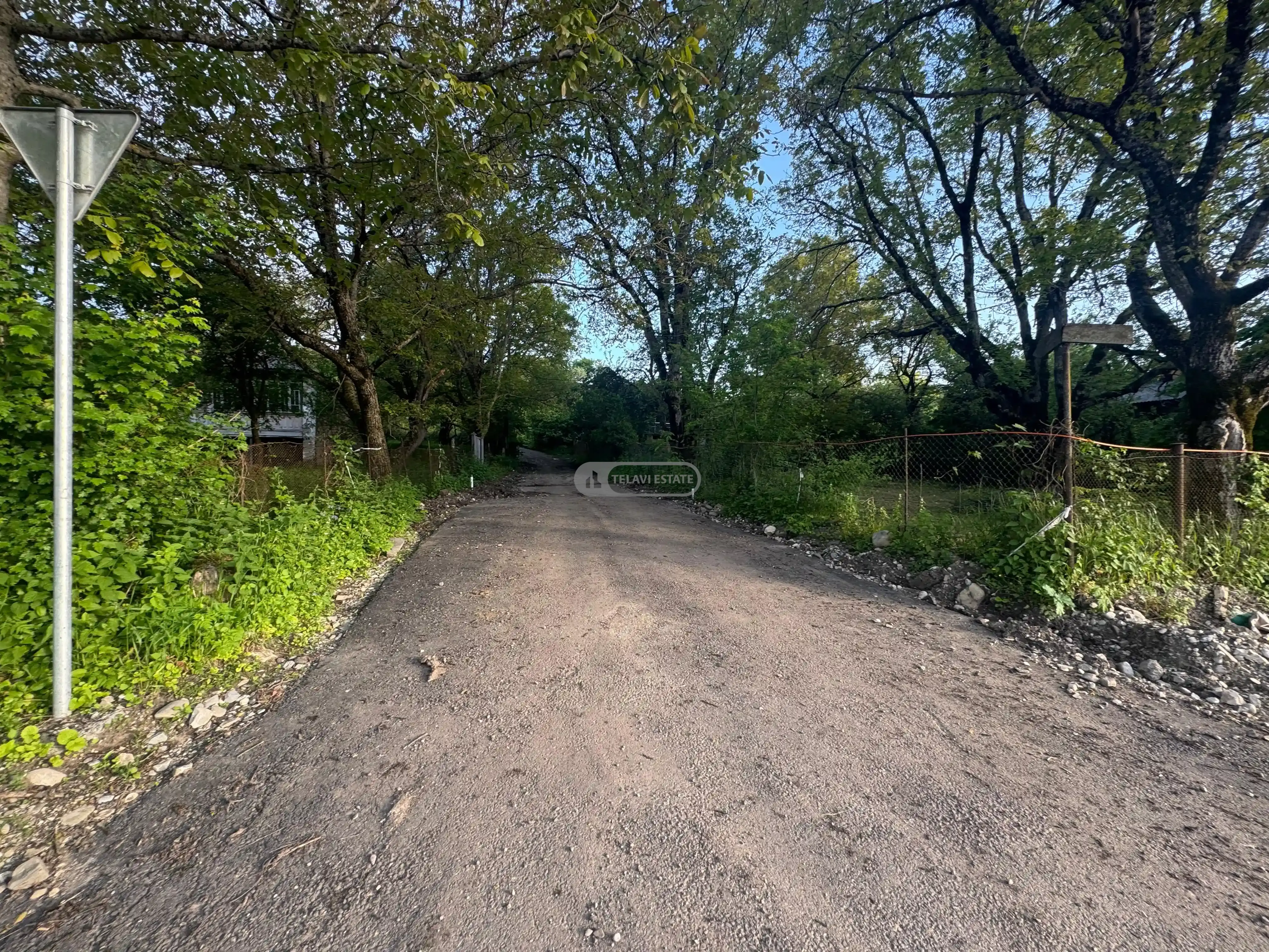 მიწის ნაკვეთი თეთრიწყლებში