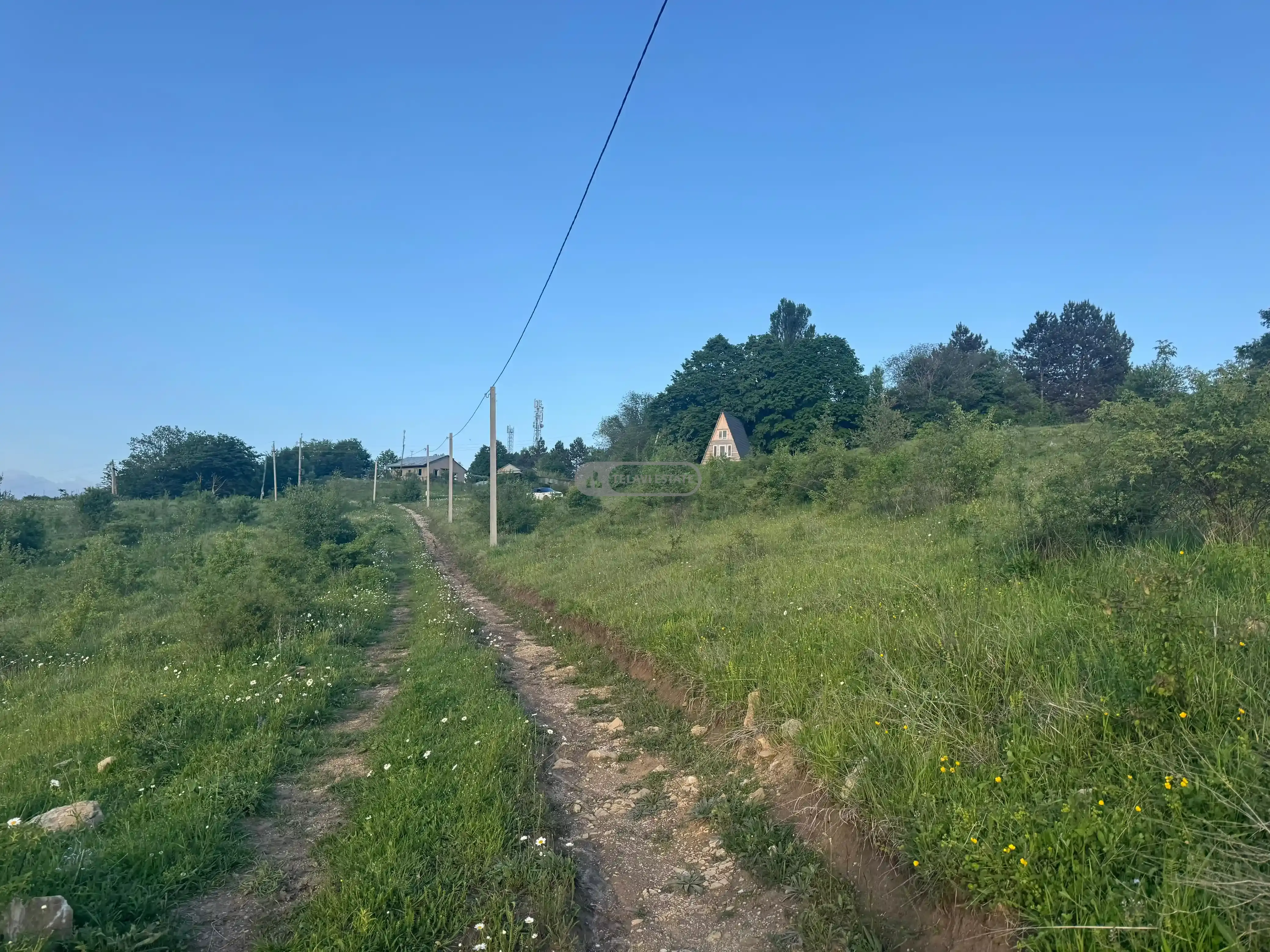 მიწის ნაკვეთი თეთრიწყლებში