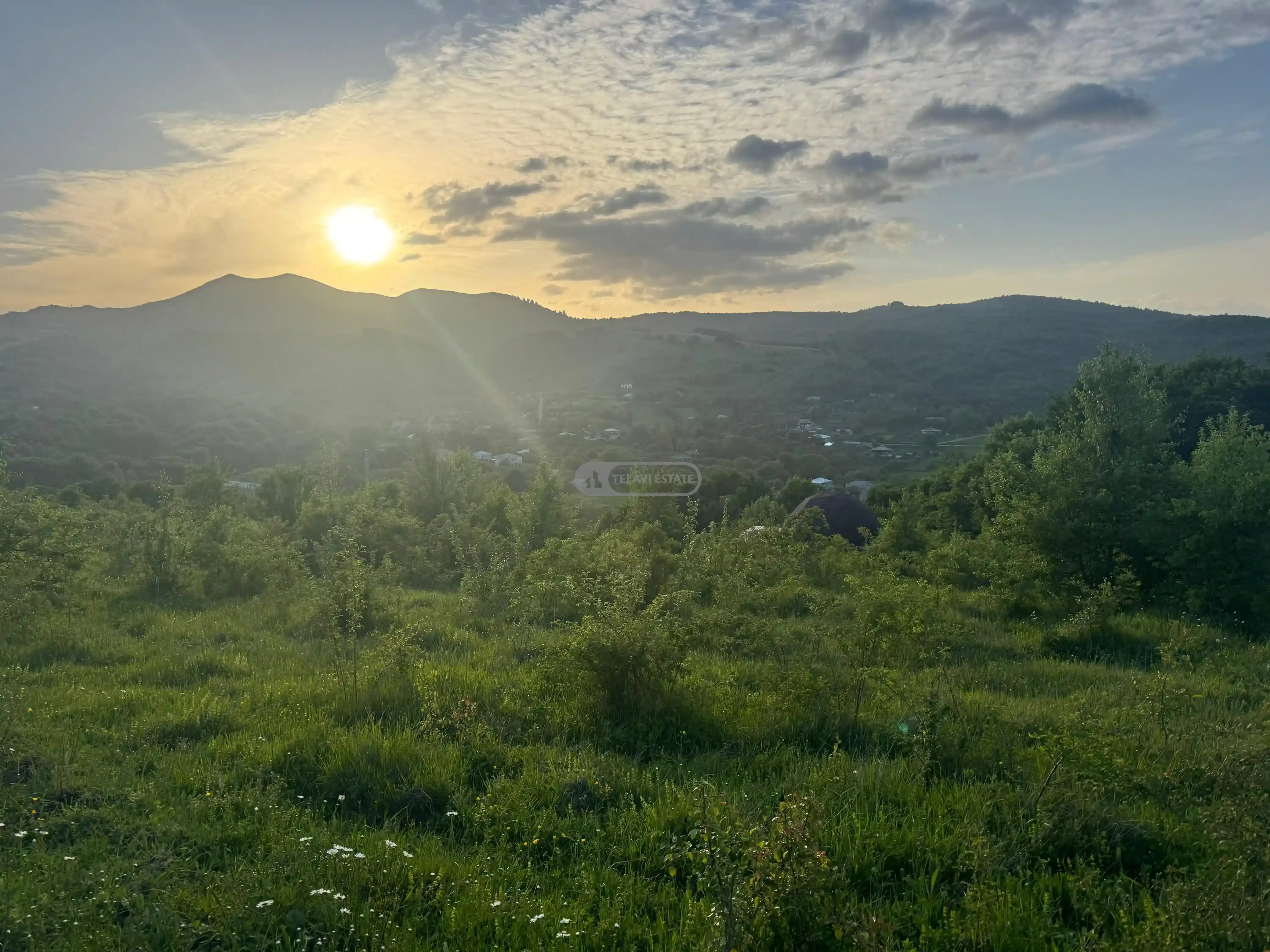 მიწის ნაკვეთი თეთრიწყლებში