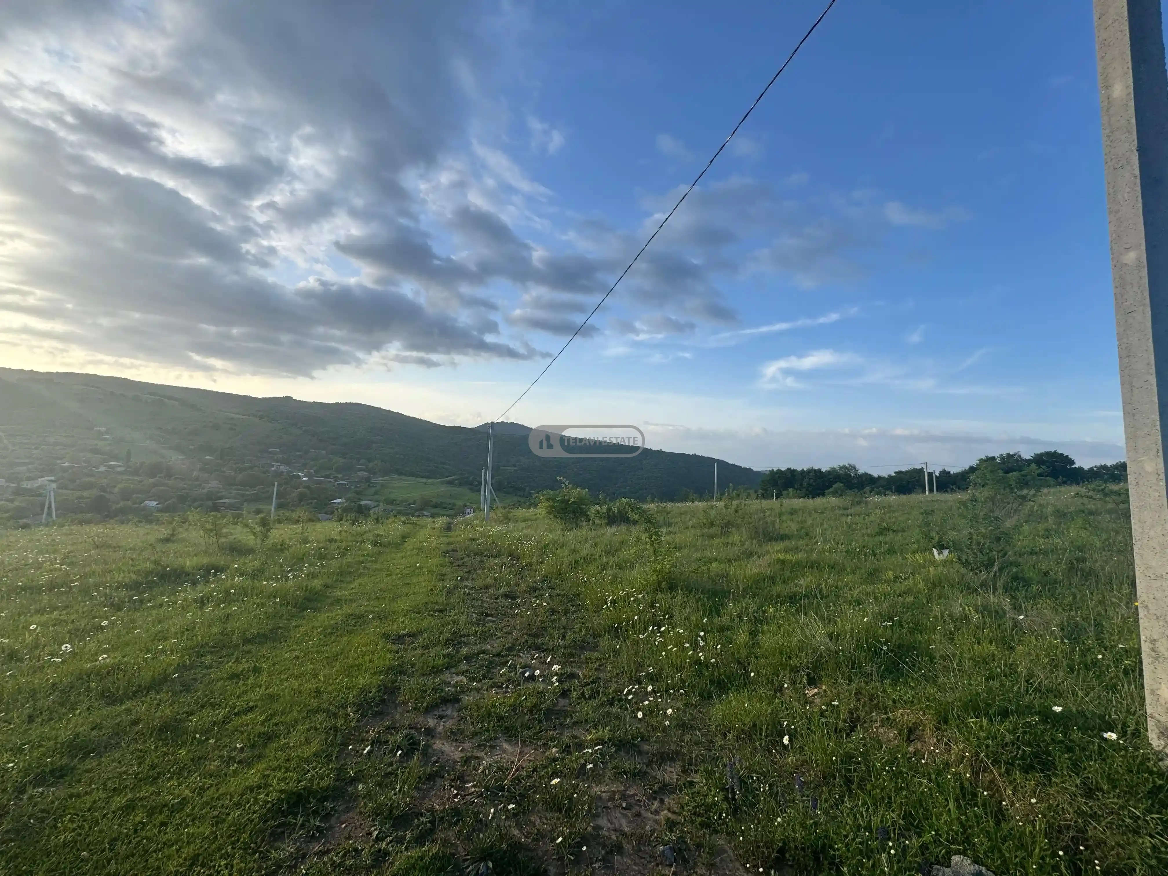 მიწის ნაკვეთი თეთრიწყლებში