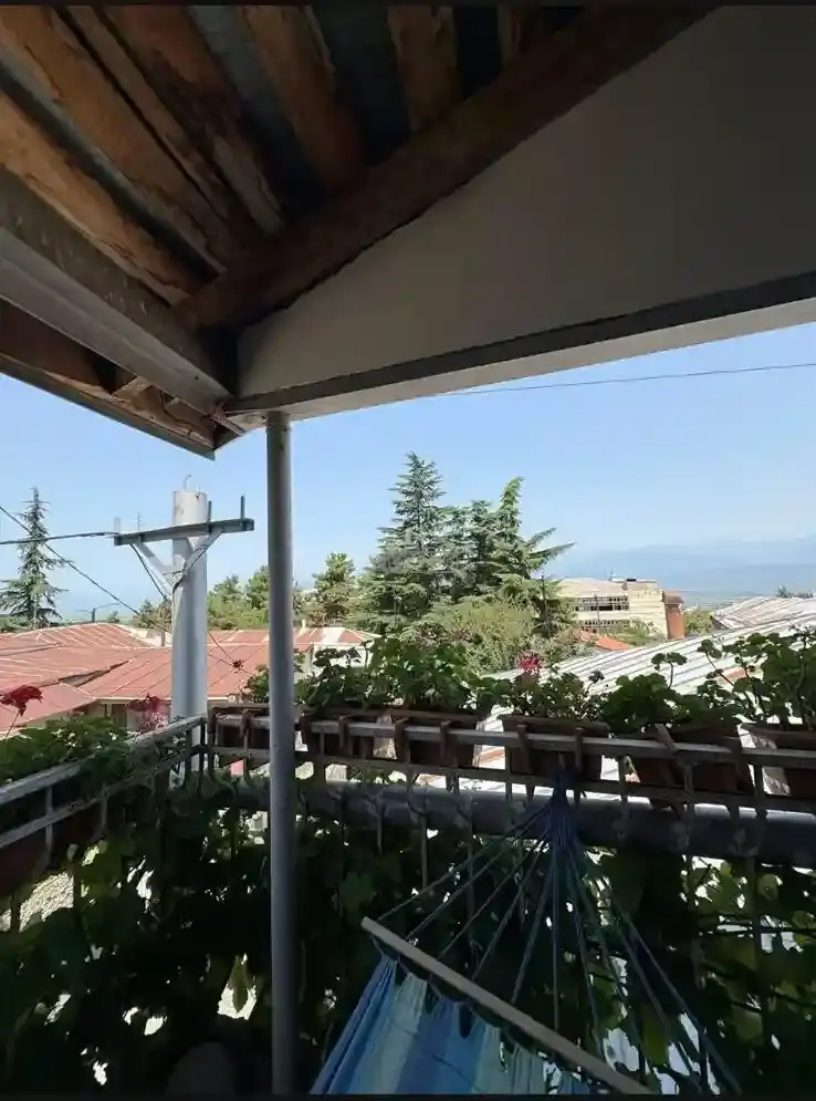 Дом в Телави