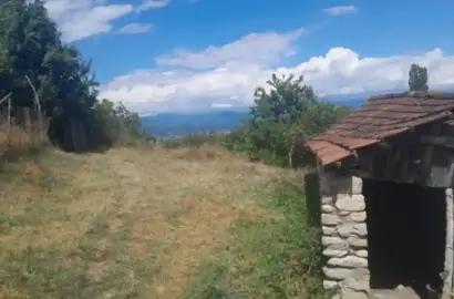 სახლი ახალშენში, ახმეტა