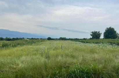 მიწის ნაკვეთი სოფელ ნასამხრალში