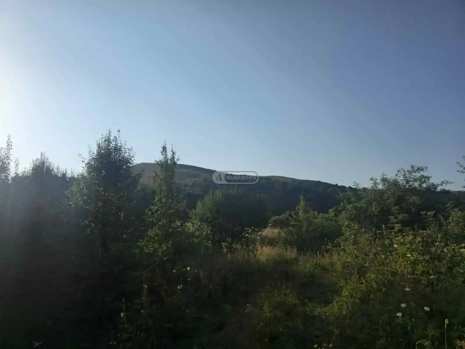 საინვესტიციო მიწის ნაკვეთი თეთრიწყლებში