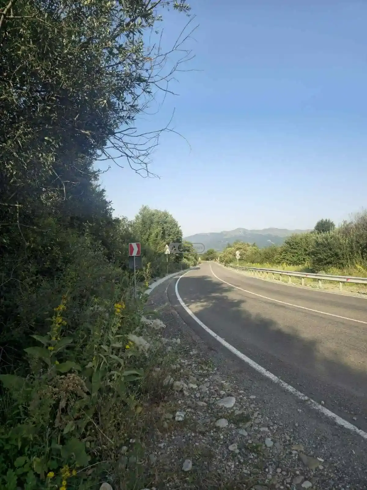 საინვესტიციო მიწის ნაკვეთი თეთრიწყლებში