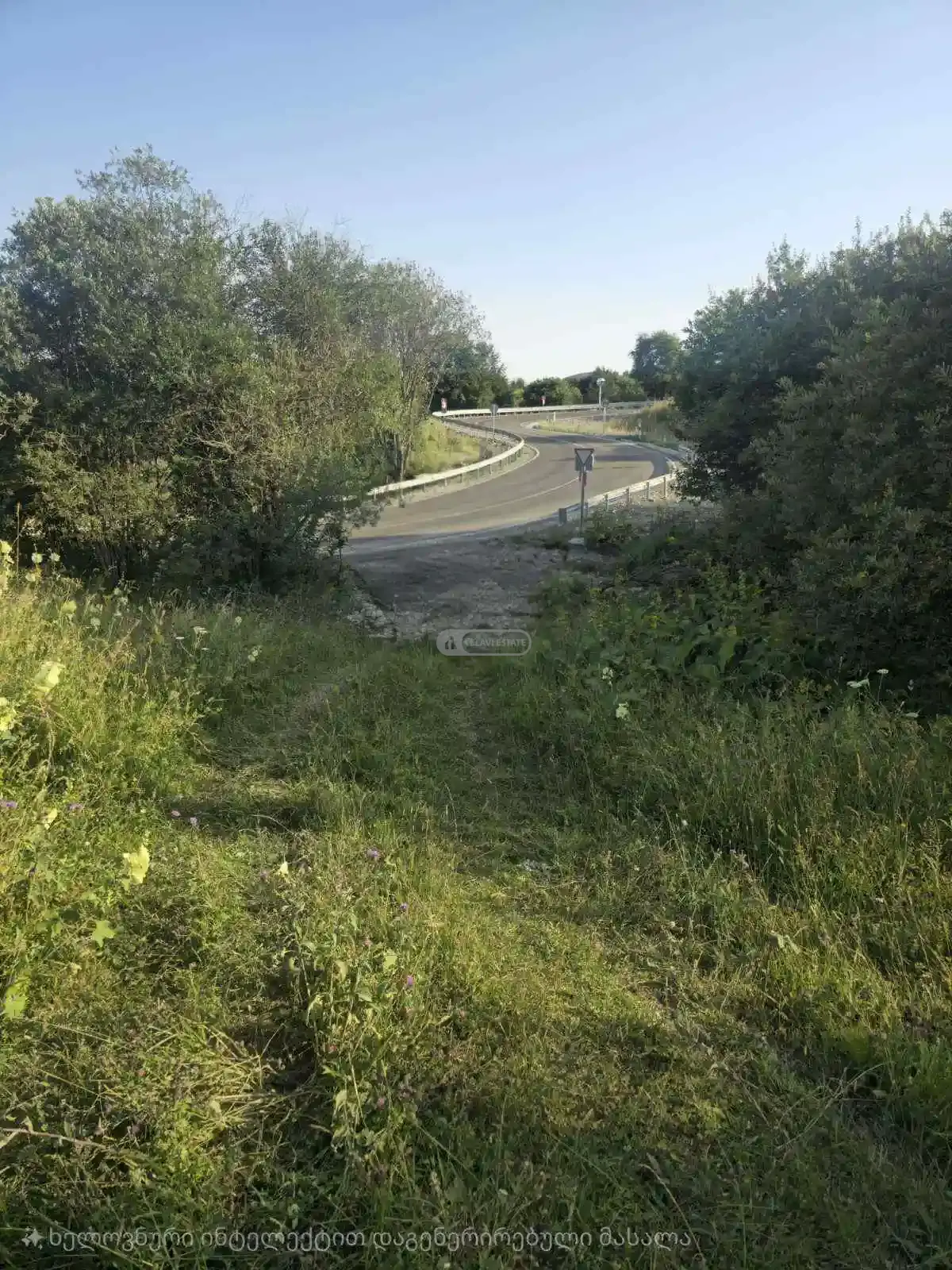 საინვესტიციო მიწის ნაკვეთი თეთრიწყლებში