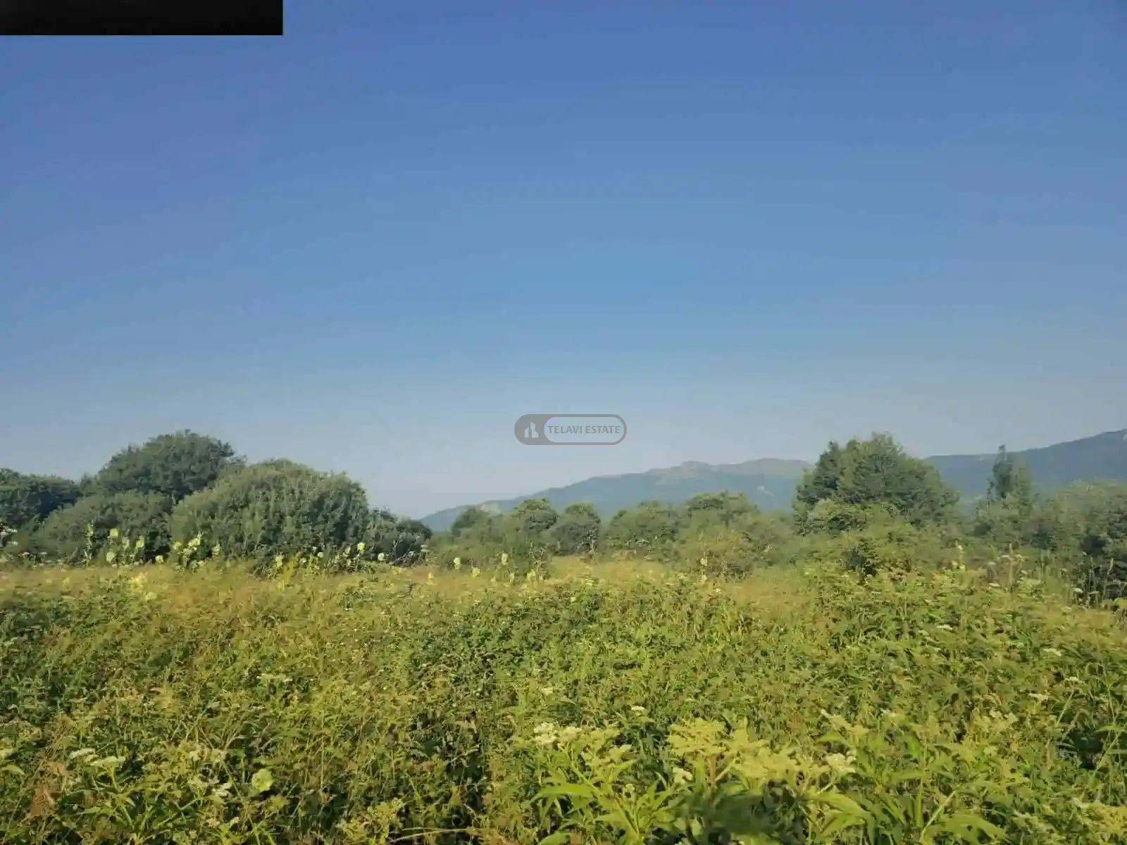 საინვესტიციო მიწის ნაკვეთი თეთრიწყლებში