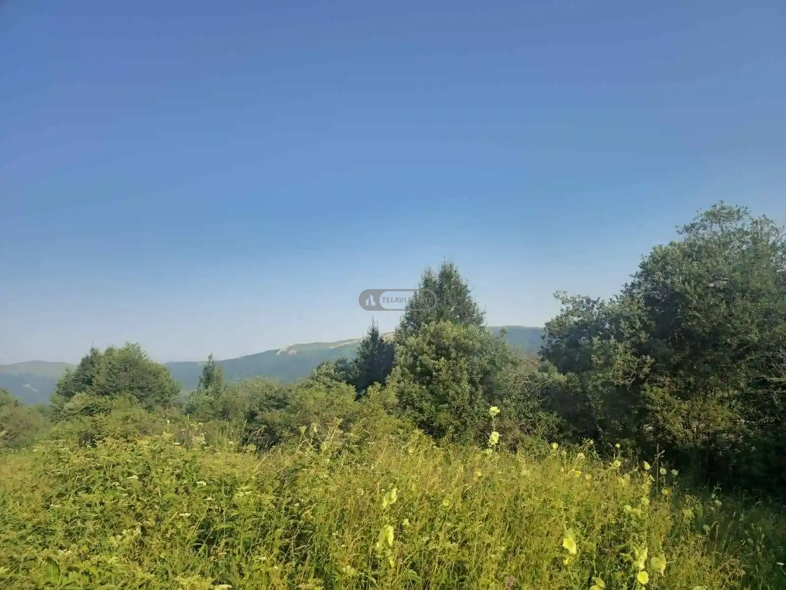 საინვესტიციო მიწის ნაკვეთი თეთრიწყლებში