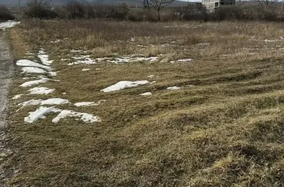 მიწის ნაკვეთი ვარდისუბანში