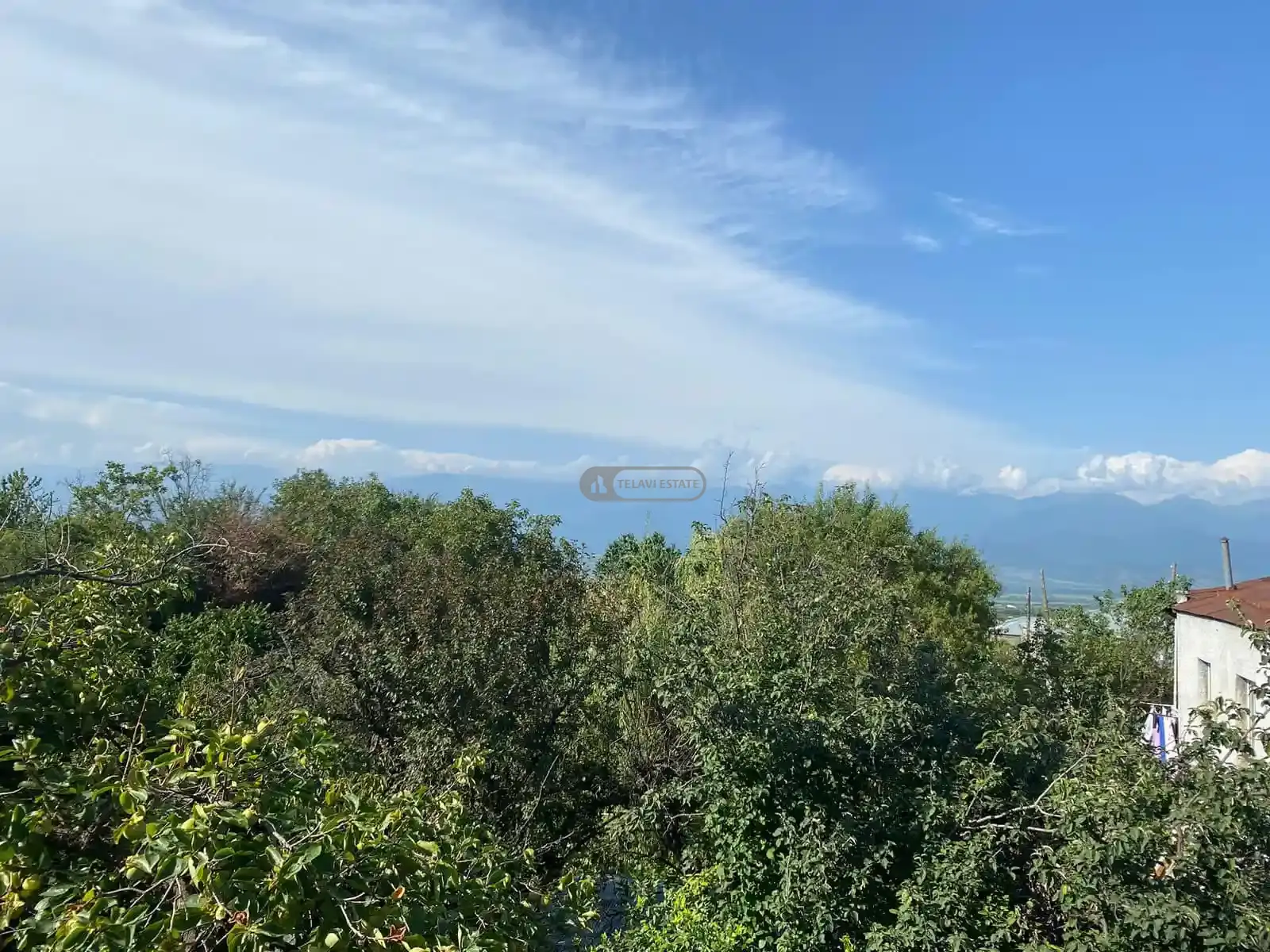 Дом под ремонт в Курдгелаури