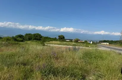 მიწის ნაკვეთი ვარდისუბანში