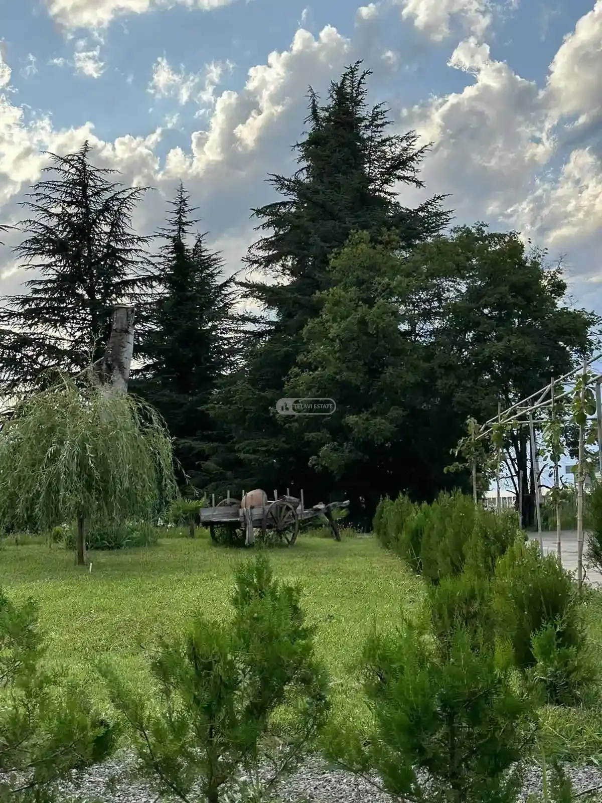 მოქმედი სასტუმრო თელავში