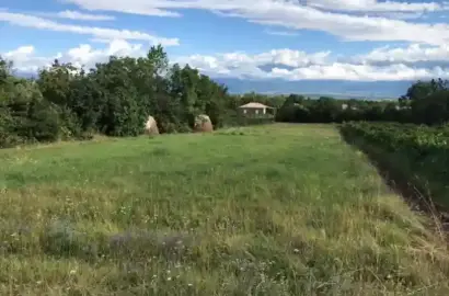 სამოსახლო მიწის ნაკვეთი იყალთოში