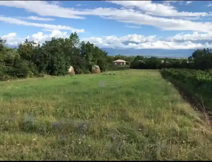 სამოსახლო მიწის ნაკვეთი იყალთოში