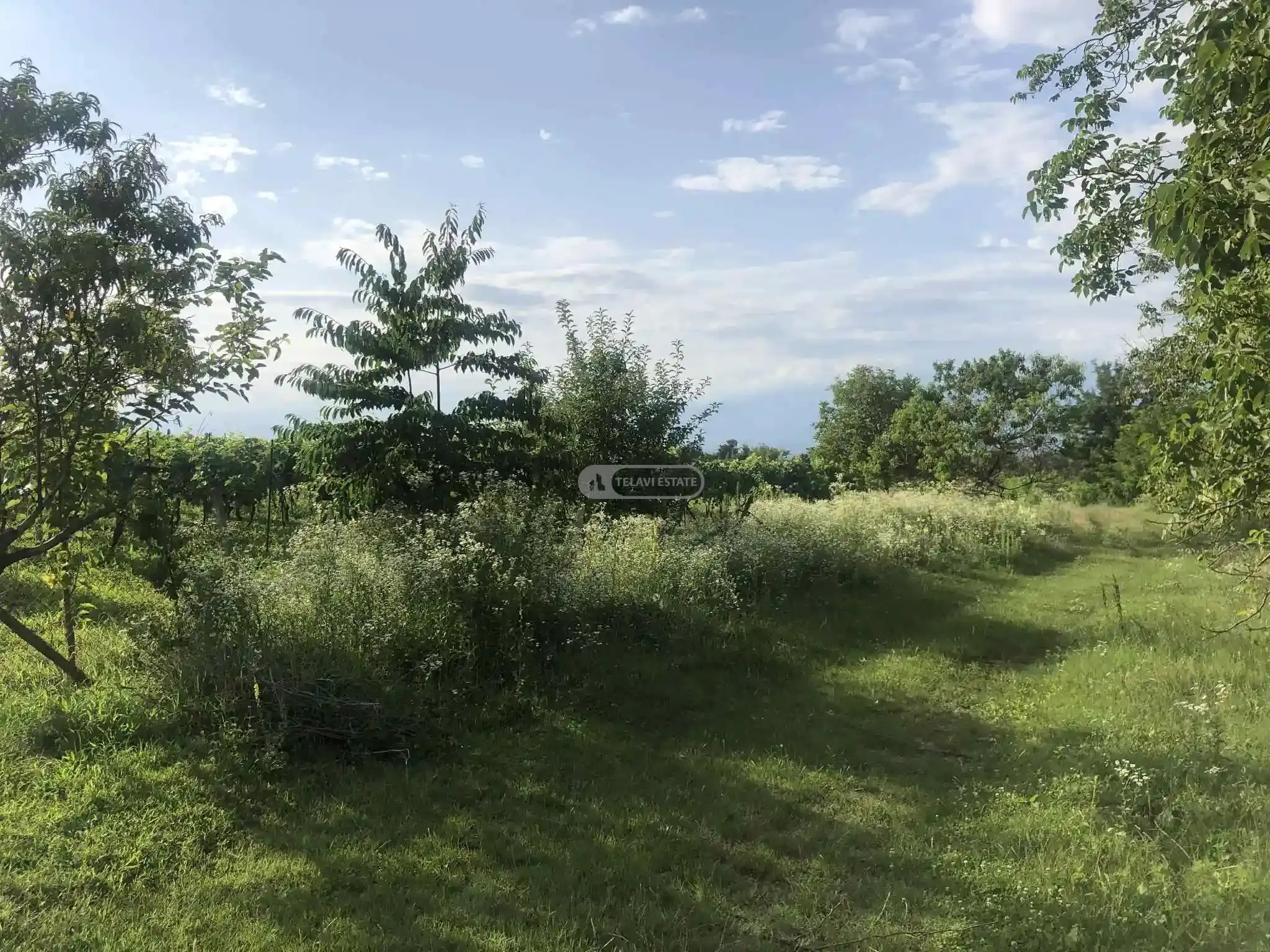 Продается земельный участок в Насамхрали