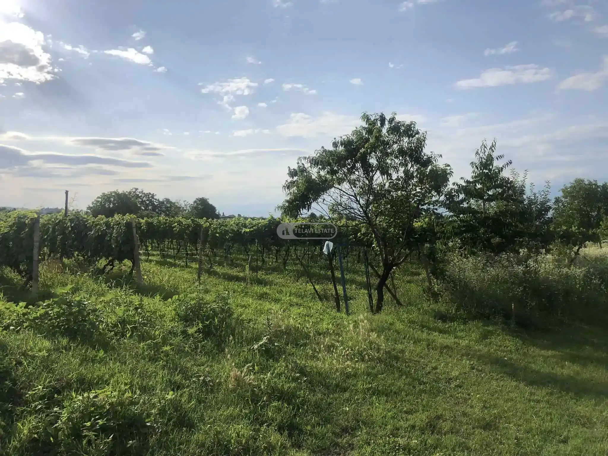 Продается земельный участок в Насамхрали