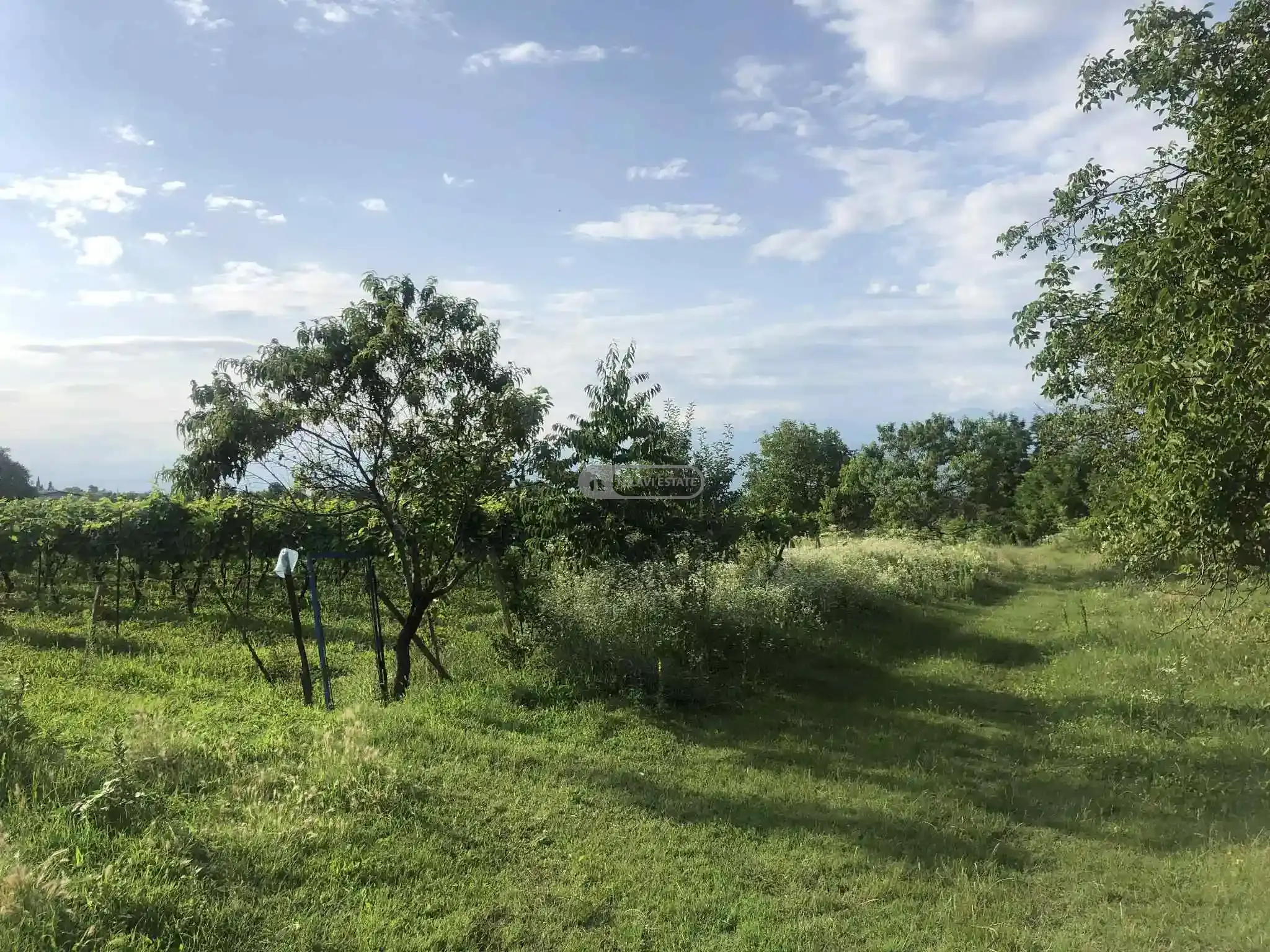 Продается земельный участок в Насамхрали